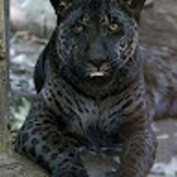 patty_palomar55
